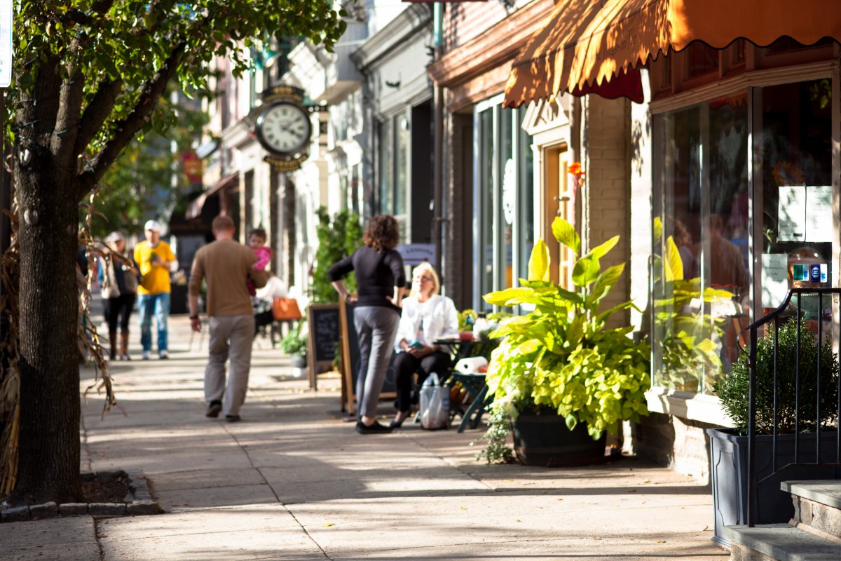 Chestnut Hill overview including area activities and real estate