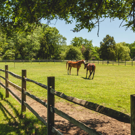 Hunterdon County